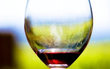 Sexygossip: Οινικός Τουρισμός & Wine Tours στην Ελλάδα